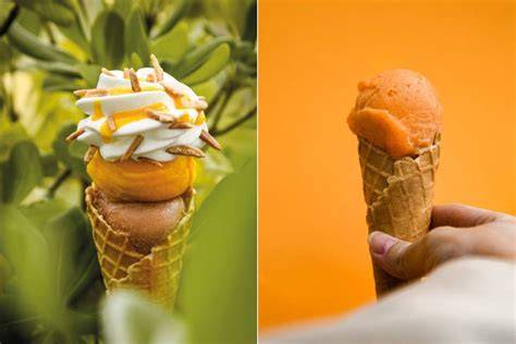 glaces bio et vegan