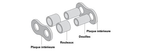 Infographie: Schéma du casse-graines à rouleaux et du système d’alimentation