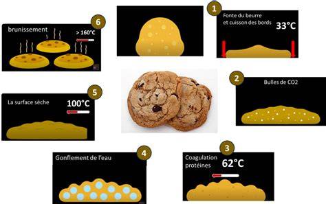 Schéma étape par étape: préformation et cuisson cookies vegan