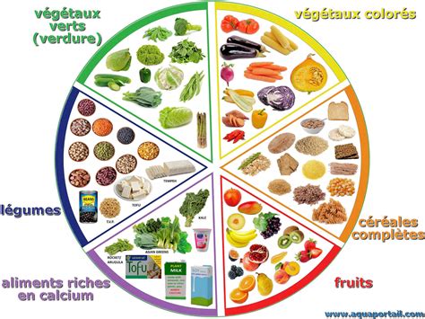 Diagramme des principaux nutriments essentiels pour le système immunitaire