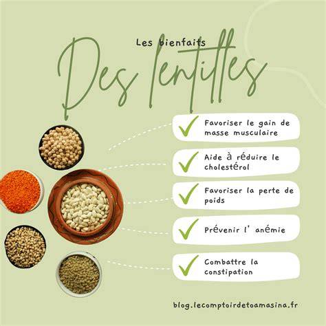 Infographie sur les bienfaits nutritionnels des lentilles corail