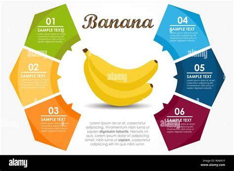 pavlova banane infographie montage cercle