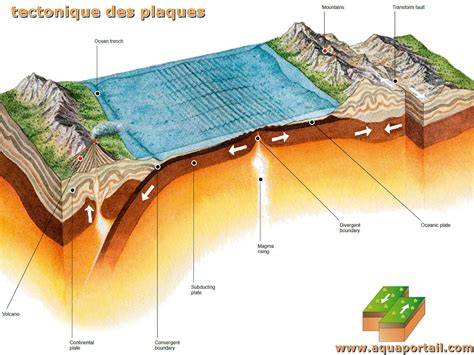 Schéma des plaques interchangeables et capacités
