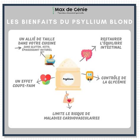 Infographie: Bienfaits des fibres des pois chiches et psyllium