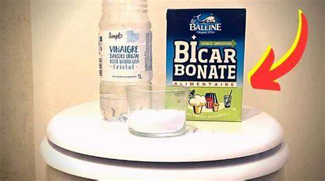 infographie propriétés du bicarbonate et vinaigre