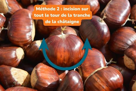 technique-incision-chataigne