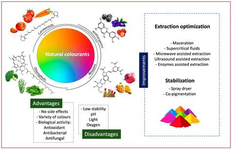 Diagramme des sources de colorants alimentaires naturels et artificiels