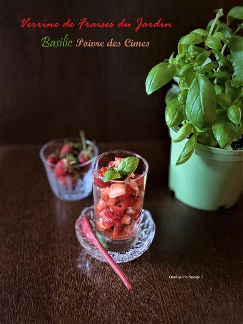 illustration verrines fraises basilic