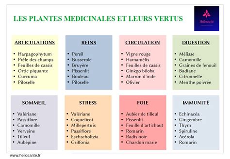 Plantes médicinales utilisées pour leurs propriétés sur la glycémie