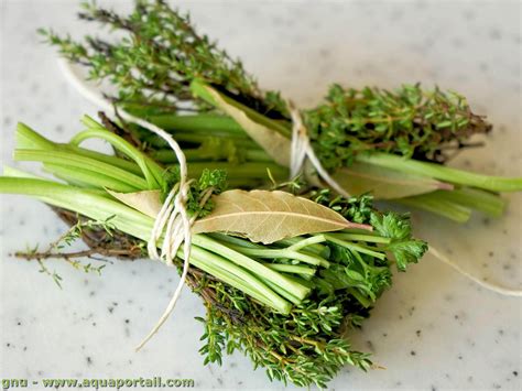 bouquet garni et romarin dans potage