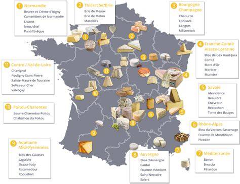 Infographie: diversité microbienne des fromages AOP et flux de fermentation