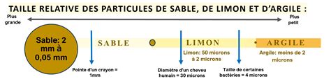 Diagramme comparant la taille de biscuits
