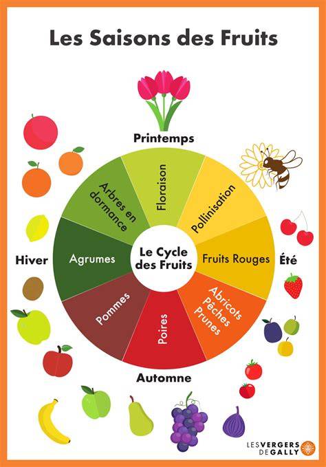 Carte interactive des fruits de saison illustrant les associations possibles (fraises, rhubarbe, abricots, figues, mirabelles)