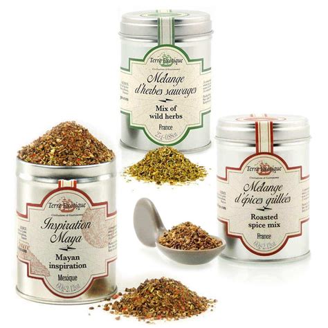 Assortiment d'épices pour marinade et assaisonnement