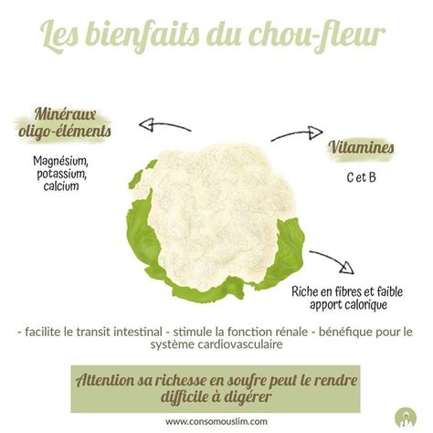 Infographie: bienfaits nutritionnels du chou pointu