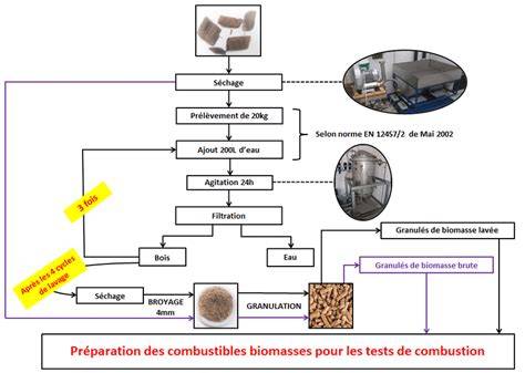 Schéma des étapes de préparation des biscuits au tahin