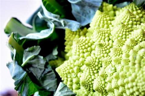 Variétés de choux-fleurs colorés