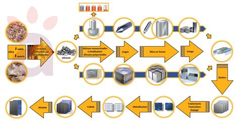 Infographie: schéma des étapes de préparation des coques et de la garniture