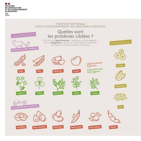 Infographie: associations gustatives clafoutis légumes et protéines