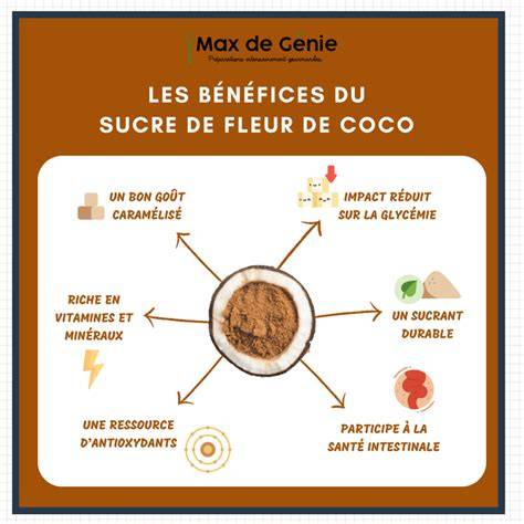 Carte mentale des usages du sucre de coco en cuisine