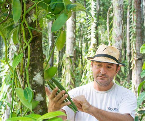 Visite d'exploitation : vanille en agroforesterie chez Cédric Coutellier