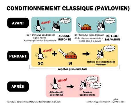 Schéma explicatif du conditionnement pavlovien