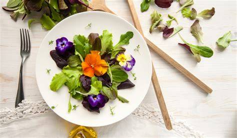 fleurs comestibles recettes et conseils
