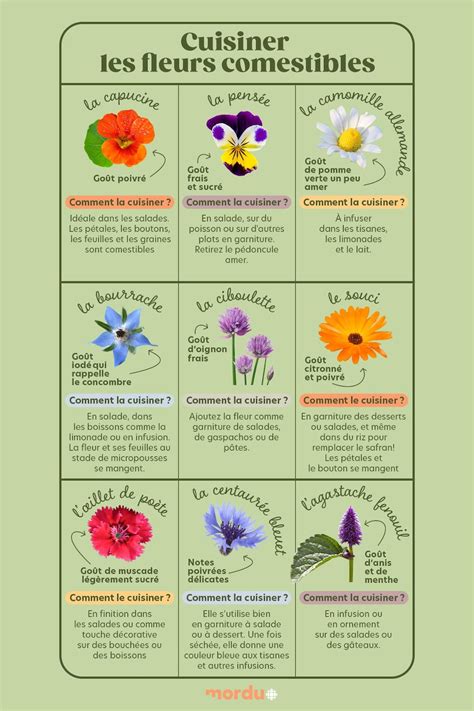 valeurs nutritionnelles fleurs comestibles