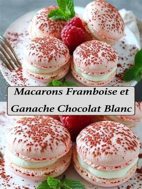 image infographie macarons et ganache