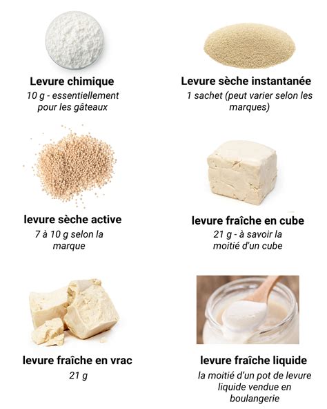 Levure fraîche et levure sèche