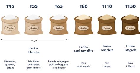Schéma comparant différentes farines (blanche, bise, complète)