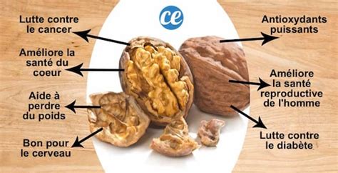 Infographie sur les bienfaits des noix