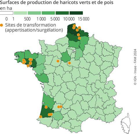 Carte thématique: production et disponibilité du biscuit