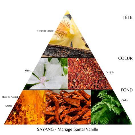 visuel arbre santal et vanille ensemble