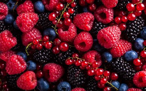 Vignette de divers fruits rouges frais