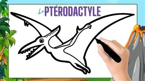 Diagramme des étapes pour modéliser un Ptérodactyle en pâte à modeler