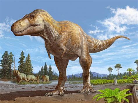 Un Tyrannosaure Rex impressionnant sculpté en pâte à modeler colorée
