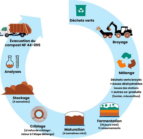Diagramme du processus de compostage montrant les différentes étapes et les micro-organismes impliqués