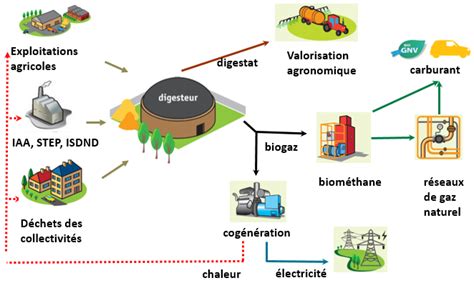 Schéma d'une usine de méthanisation traitant des déchets organiques et produisant du biogaz