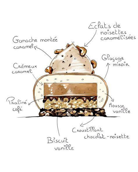 Schéma de composition typique d’un entremet Ladurée