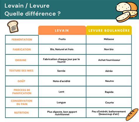 Schéma historique: évolution du levain et de la levure