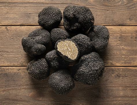 Champ de truffes de Bourgogne