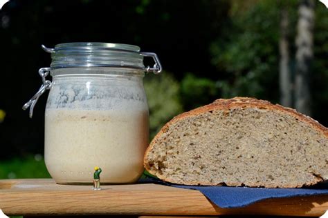 Bocal de levain naturel frais et actif dans un réfrigérateur