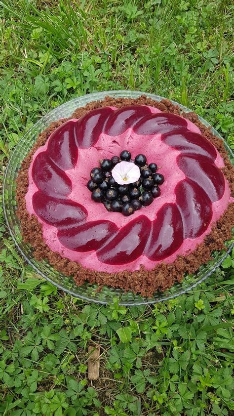 Image d’un bavarois cassis en cercle décoré