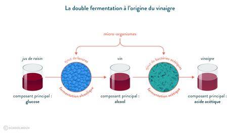 Image: diagramme de conservation en verrine