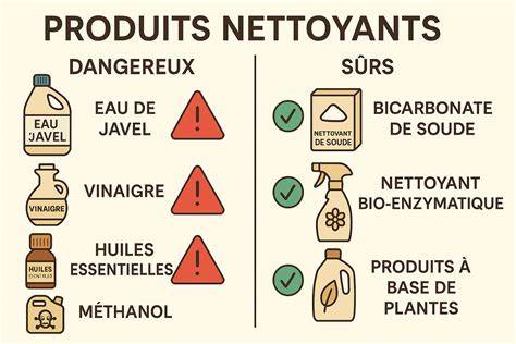 Infographie montrant les différents risques (méthanol, toxines des fruits, plantes mal identifiées) et les bonnes pratiques