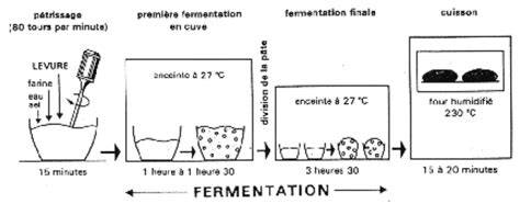 Graphe des étapes de fermentation du levain sans gluten