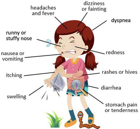 Infographie: chaîne causale croûtes - parasites, allergies, infections et stress