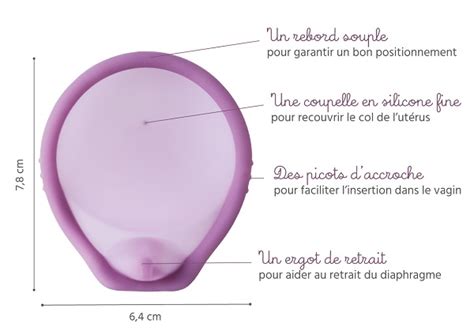 Schéma explicatif du diaphragme contraceptif féminin