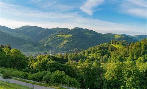 Vue panoramique sur la plaine d’Alsace et la Forêt Noire près du Château du Petit Hohnack
